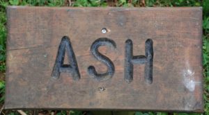 Ash campsite sign