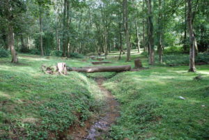 The stream running through the middle of Blackthorn Woods
