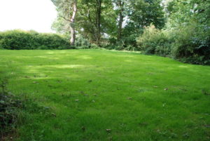 Dove campsite
