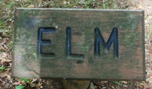 Elm campsite sign