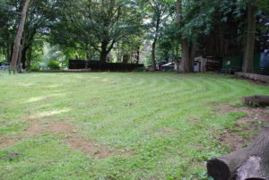 Elm campsite
