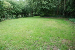 Jay campsite