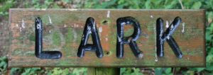 Lark campsite sign