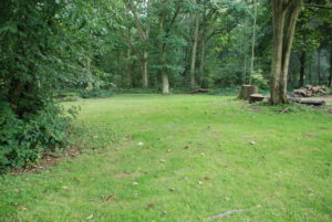 Lark campsite