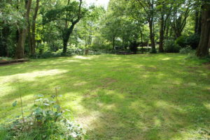 Oak campsite