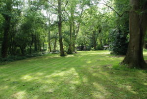 Oak campsite