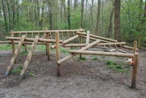 Activities in Roy's Challenge